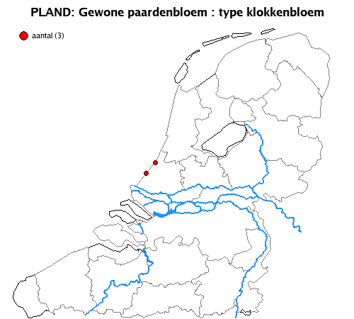 klokkenbloem